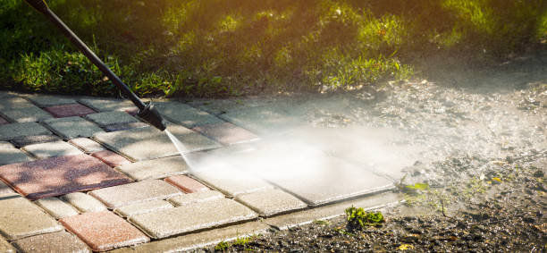 Animal Enclosure Cleaning in Sawgrass, FL